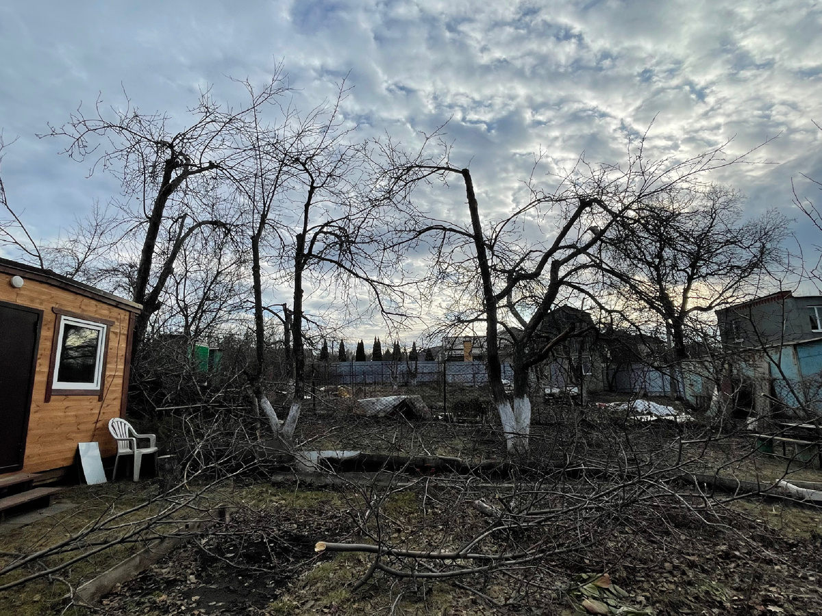 Фото из архива автора