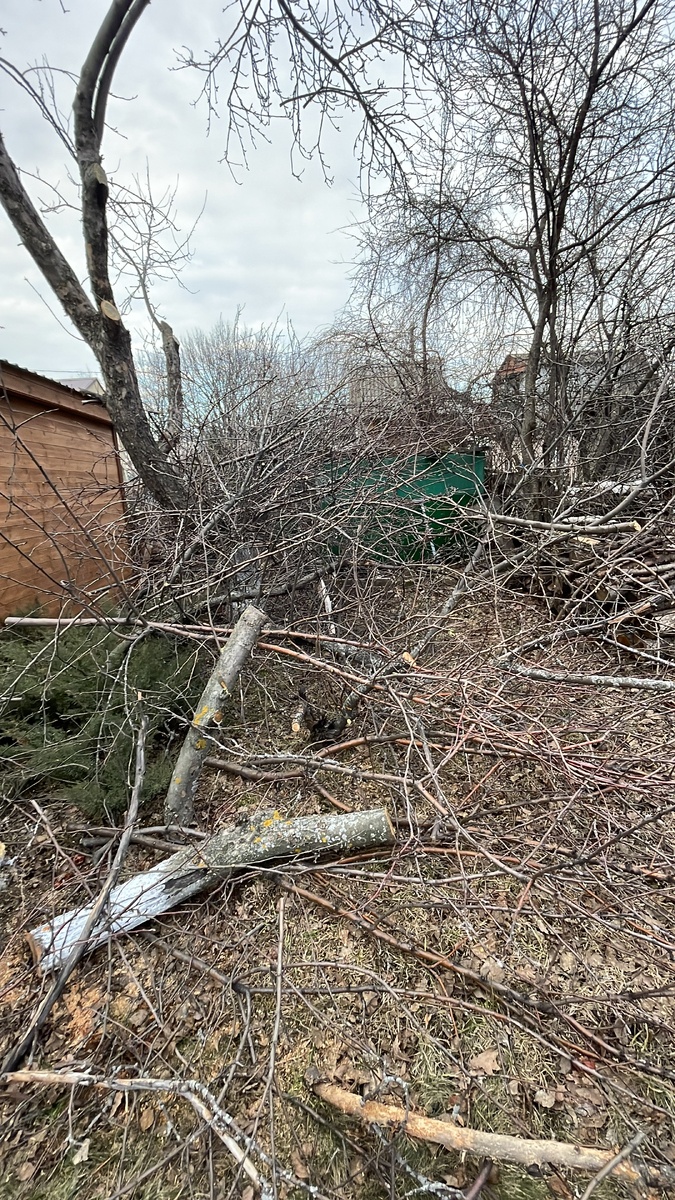 Фото из архива автора