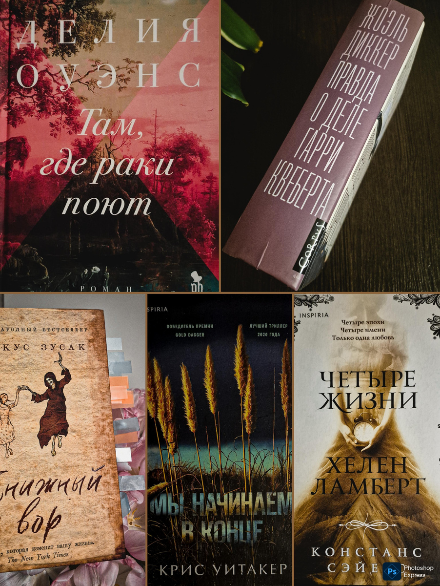 Д. Оуэнс "Там, где раки поют" (издательство "Фантом Пресс", 2022, 416 с.), Ж. Диккер "Правда о деле Гарри Квеберта" (издательство "АСТ", 2018, 720 с.), М. Зусак "Книжный вор" (издательство Москва: Эксмо, 2022, 560 с.), К. Уитакер "Мы начинаем в конце" (издательство "Москва: Эксмо", 2021, 416 с.), К. Сэйерс "Четыре жизни Хелен Ламберт" (издательство "Москва: Эксмо", 2021, 544 с.)