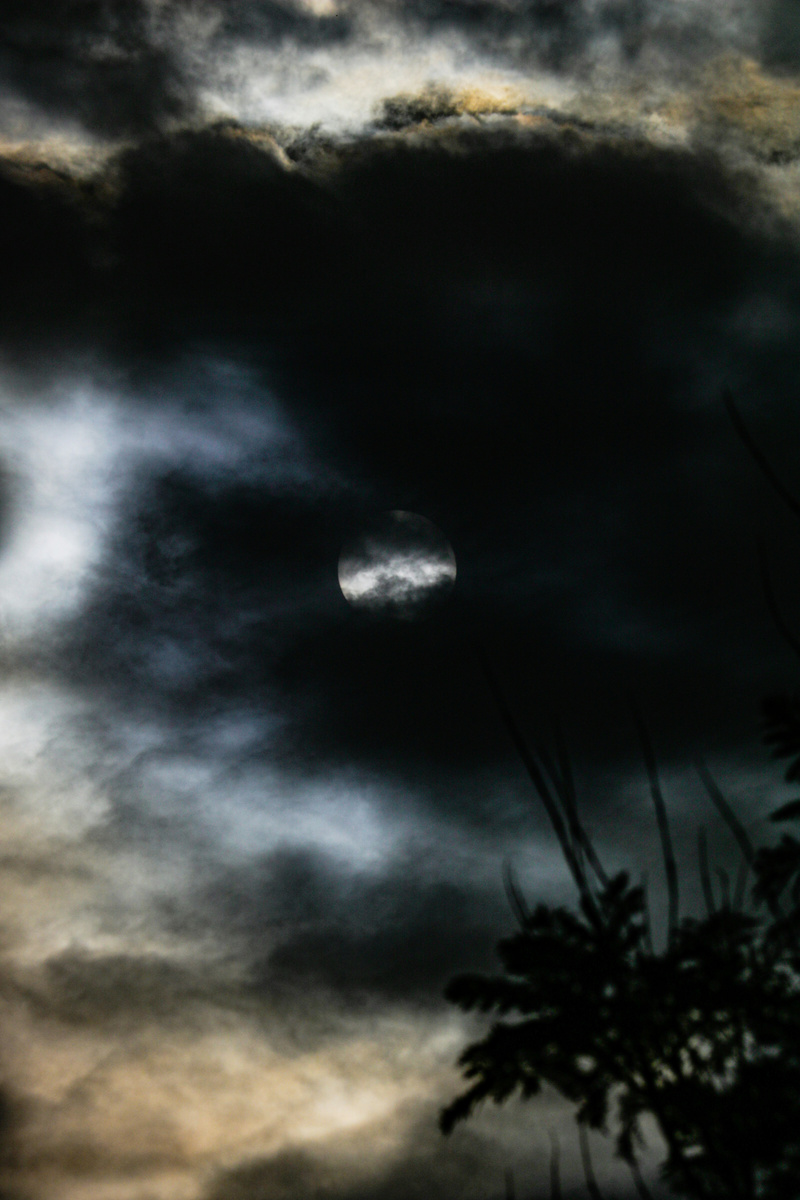 "То прыгаю, то стою —
до небес достаю…"(с) Фото: Unsplash