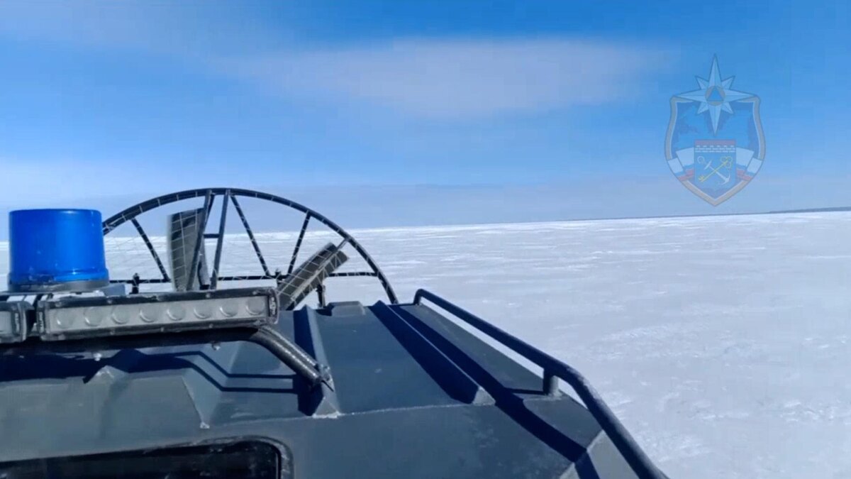    Фото: t.me/acclenobl