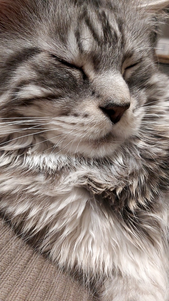 Вернулись из поездки, наш простил нас и спит