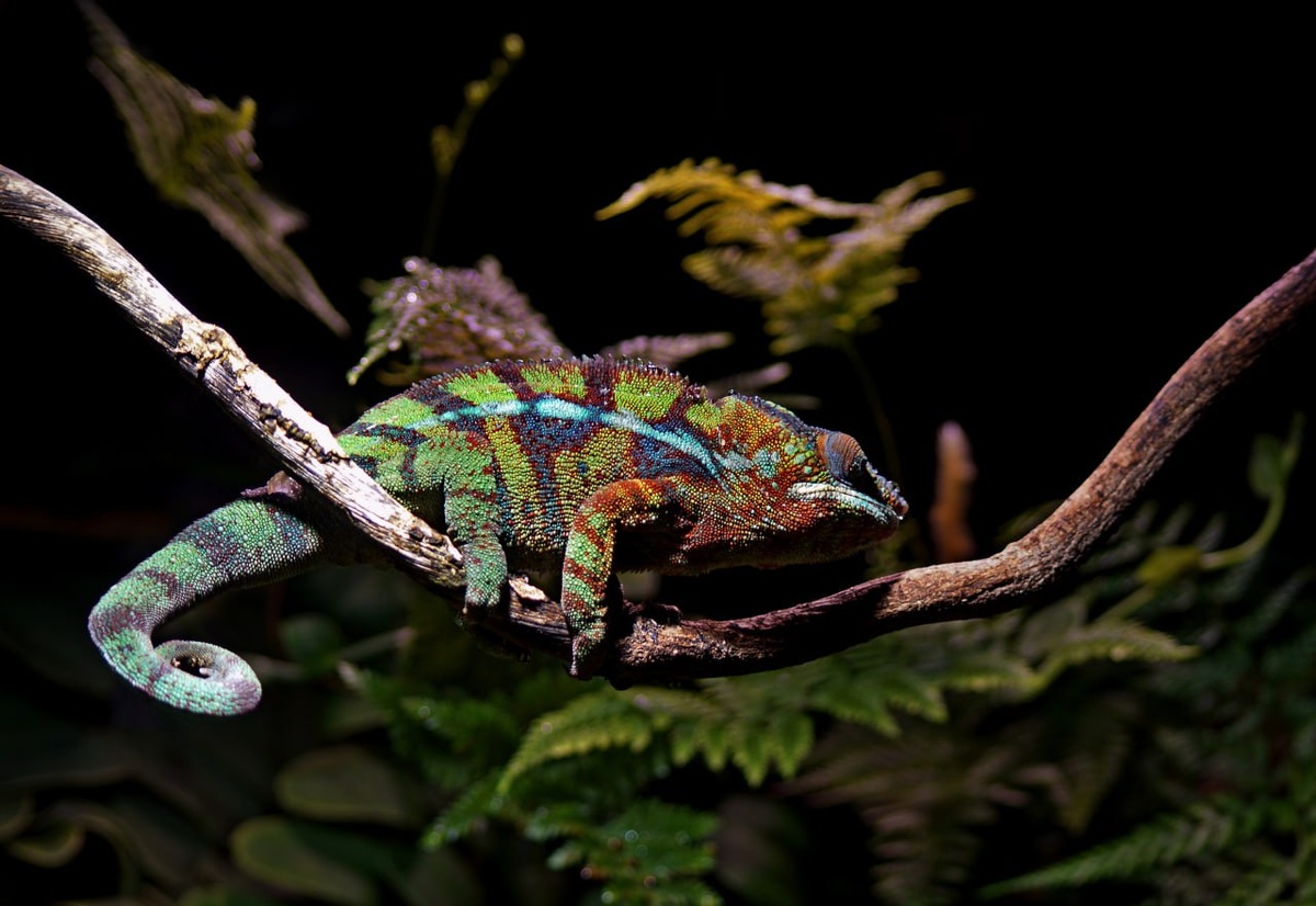 Все фото авторские. 