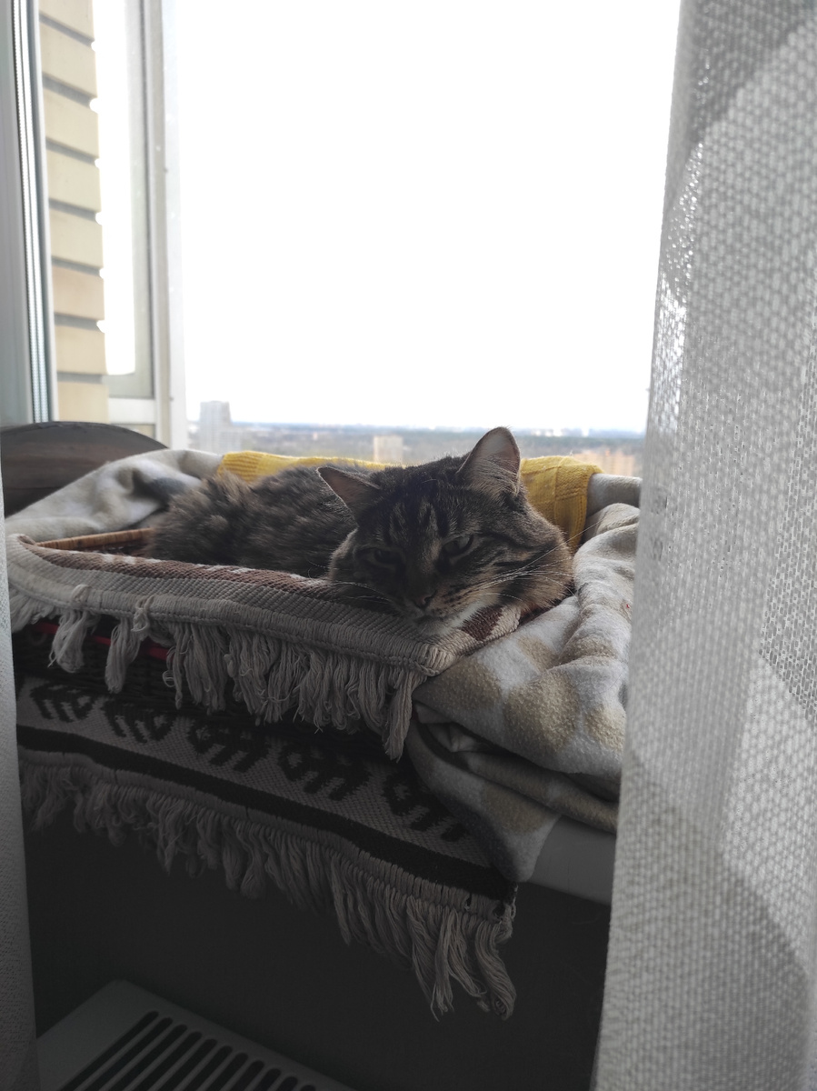 Вставать пора