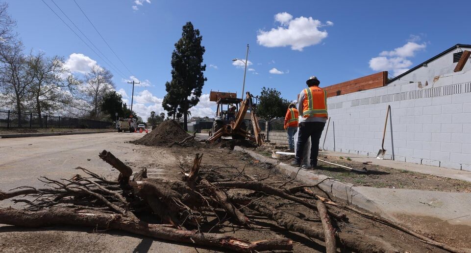    Qiu Chen/XinHua / www.globallookpress.com
