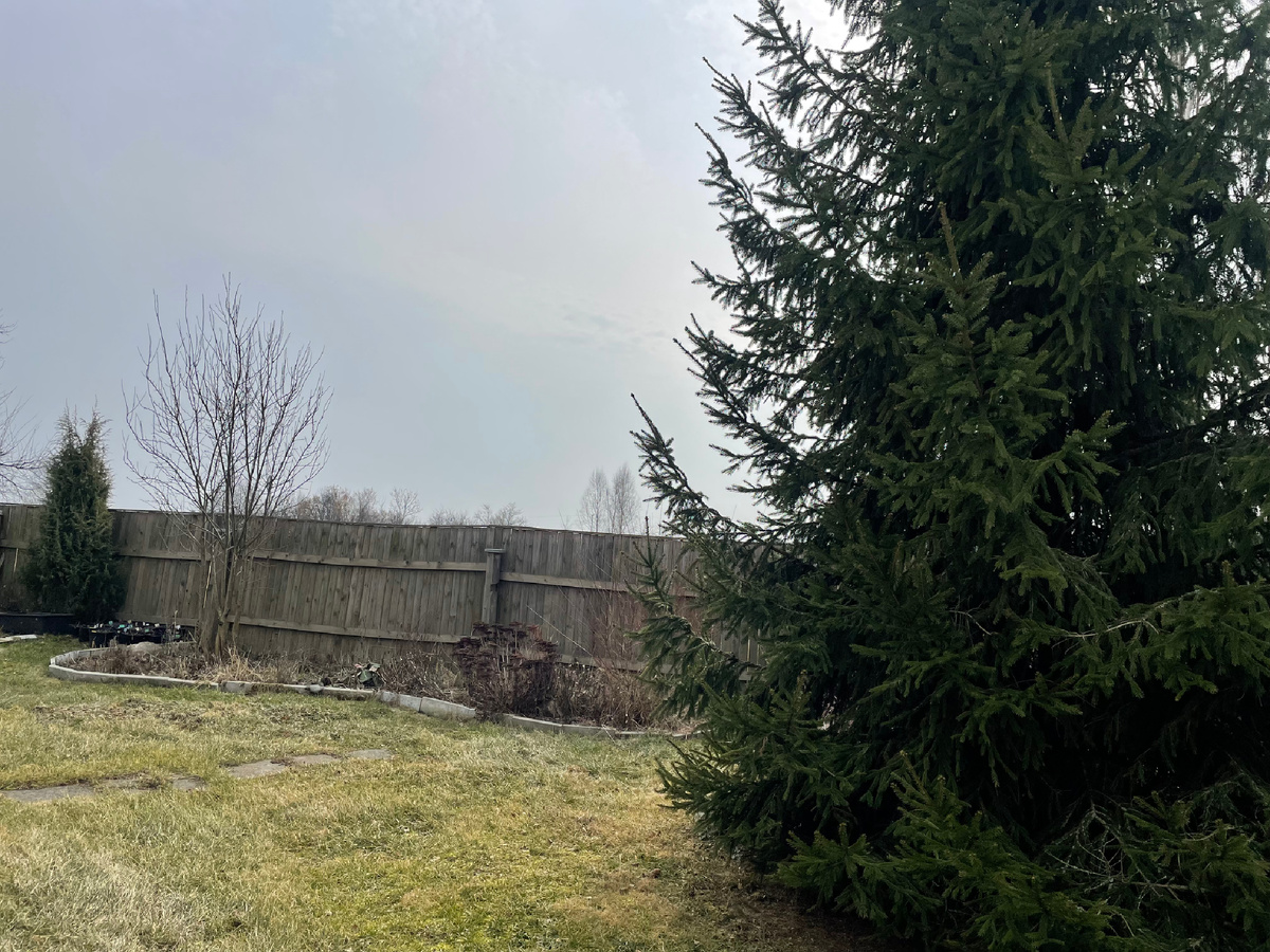 Участок сухой