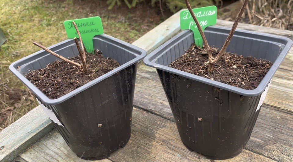 Таких штук 15