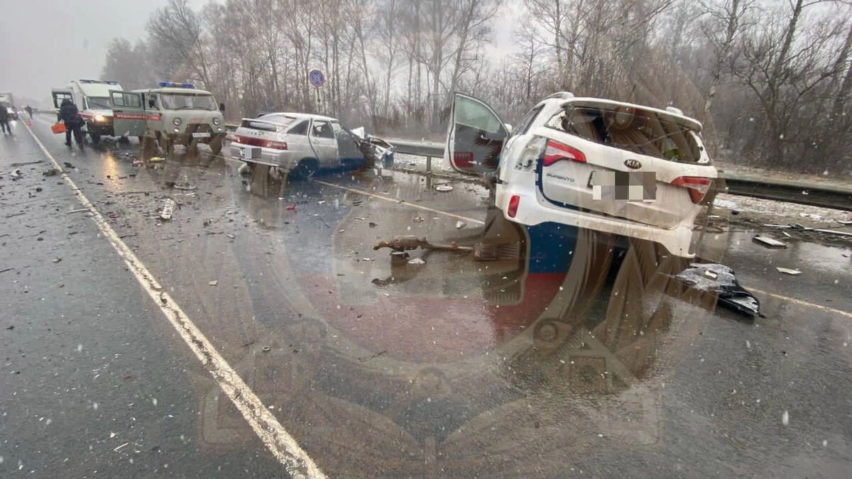    Фото: Госавтоинспекция Рязанской области/t.me