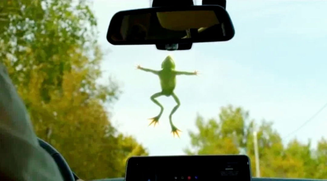 Фото из свободных источников, Яндекс картинки