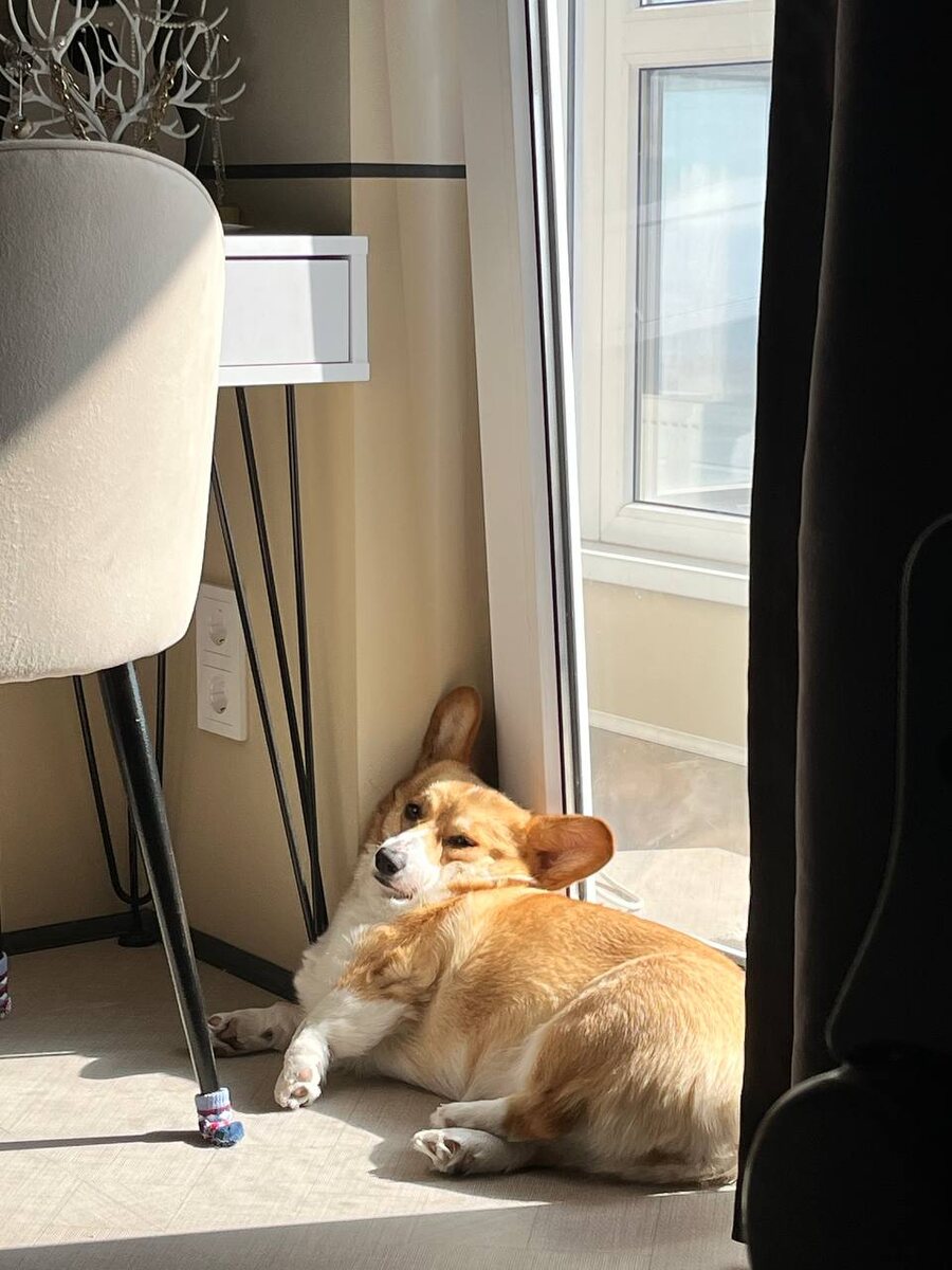 Вот так любит спать наша Ассоль!