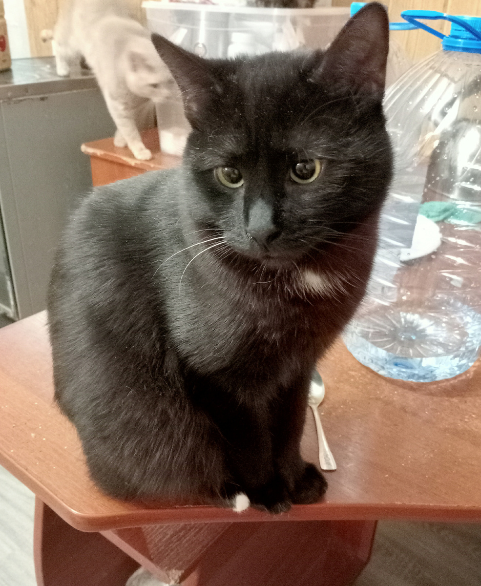 Узнаете этого серьезного парня?