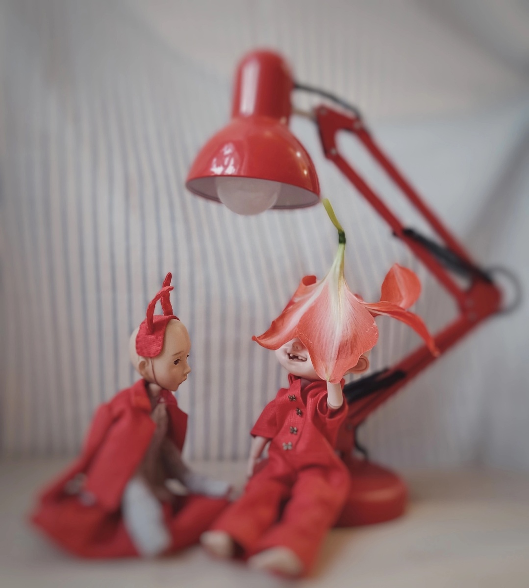 И как ими не любоваться?