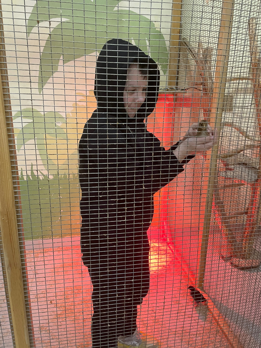 Сын и цыпленок 