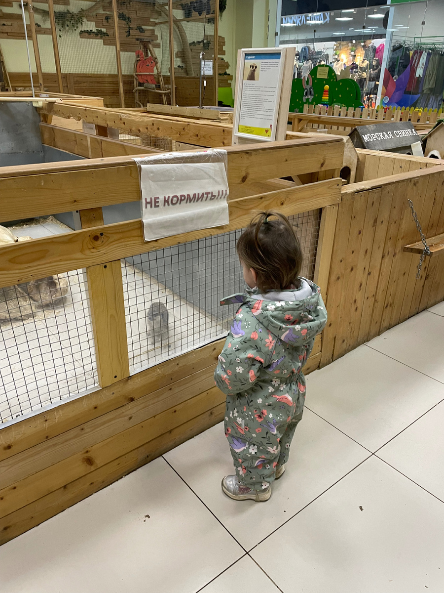 Маша и Тимон)