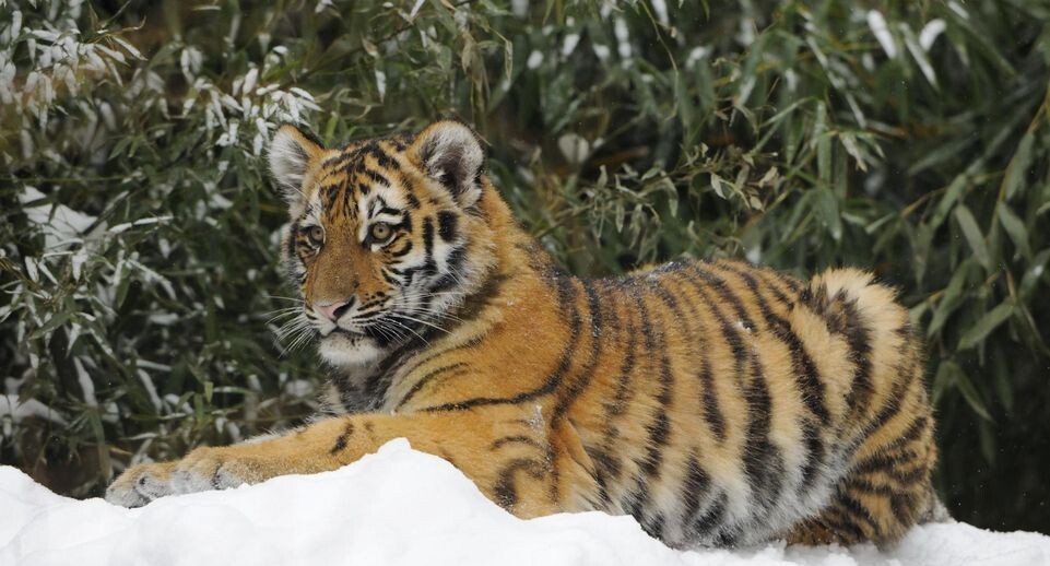    Herbert Kehrer/ imageBROKER.com / www.globallookpress.com