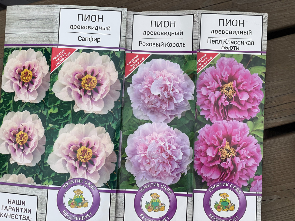 Автор фото Елена Якимова / Greenfingers