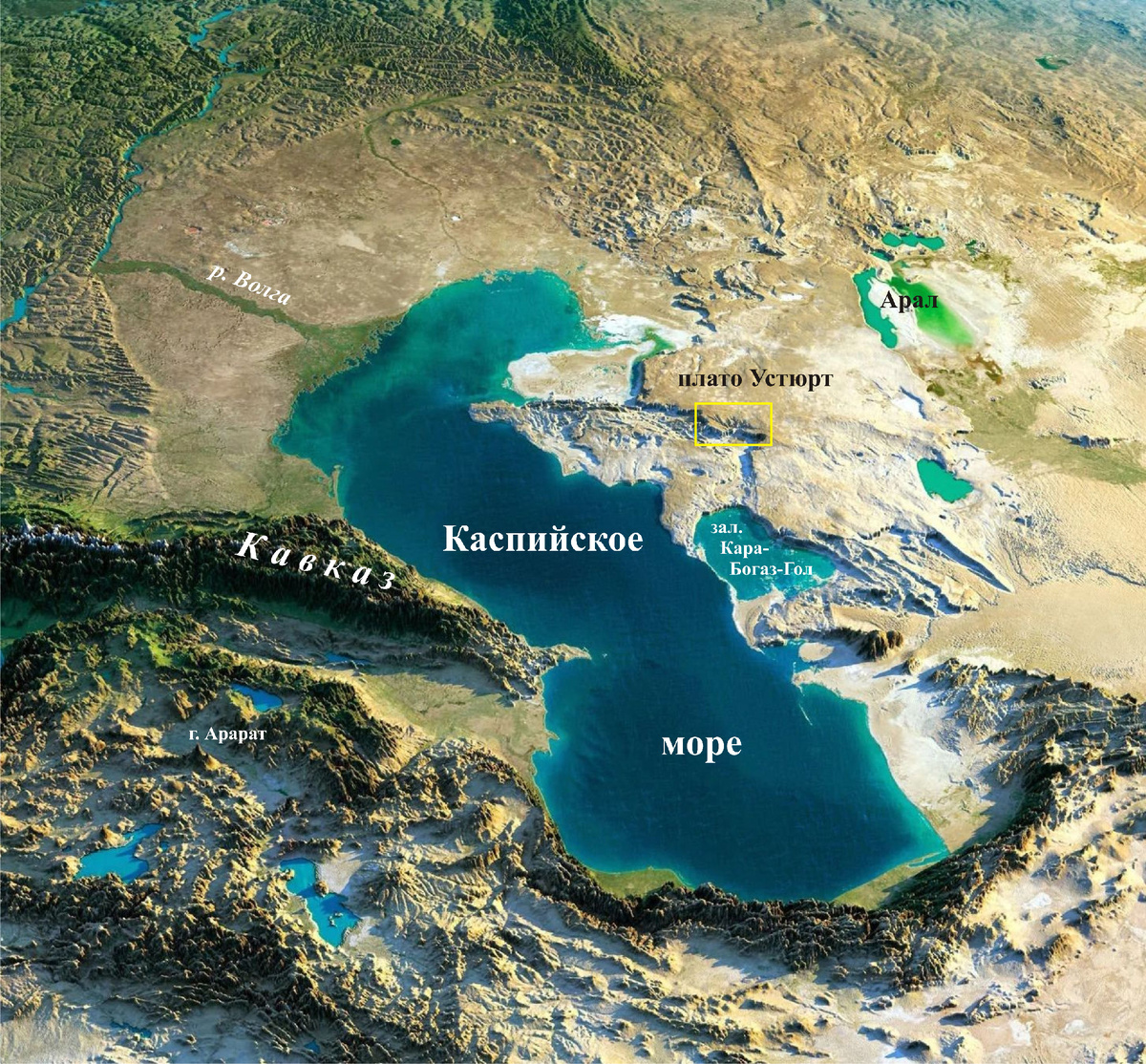 Рис. 2. Рельефный космический снимок Каспийского моря и его окрестностей. Жёлтый прямоугольник обозначает контур участка, показанного на Рис. 3.