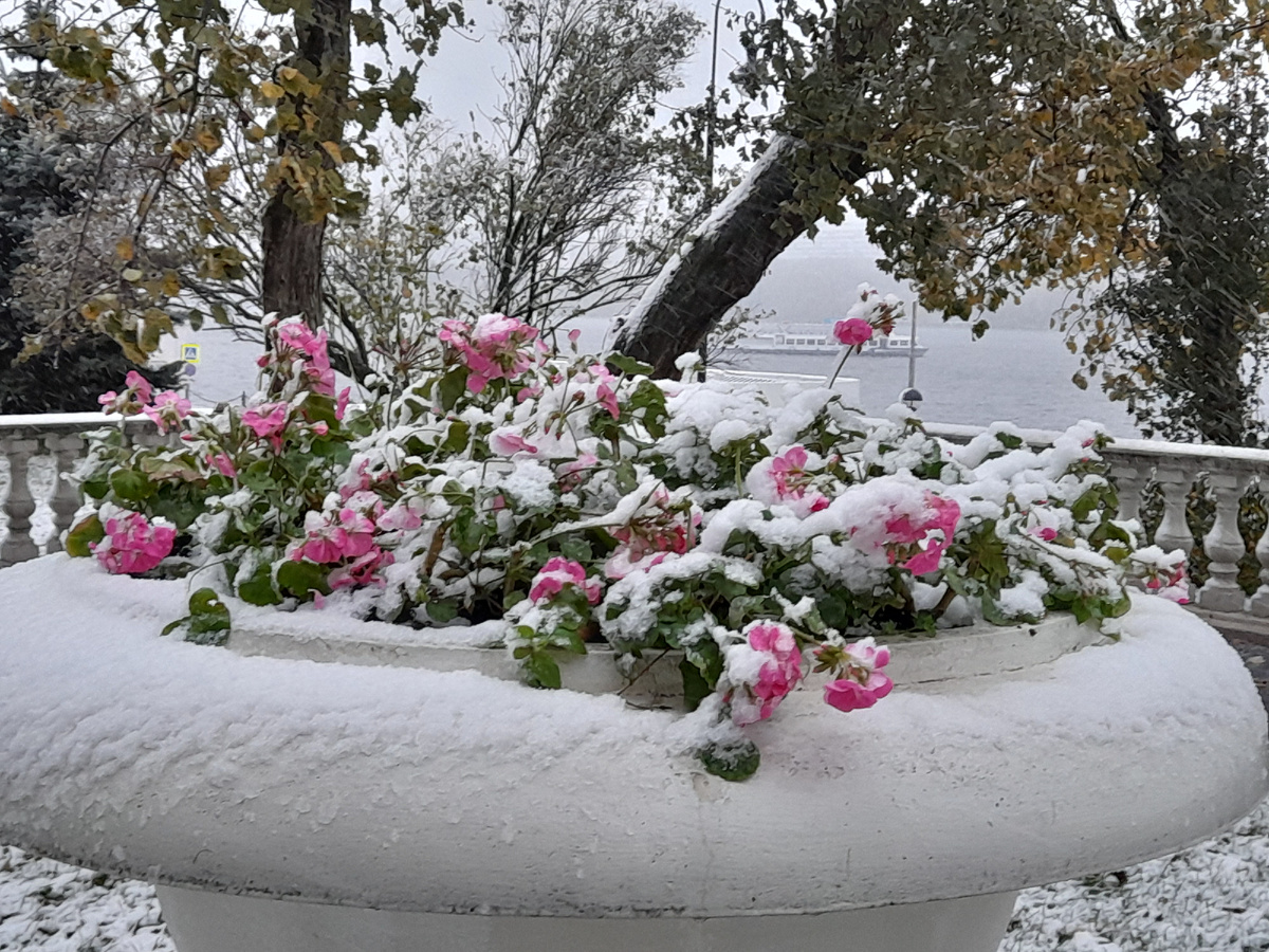 14 октября 2024 г. Москва, Северный Речной вокзал