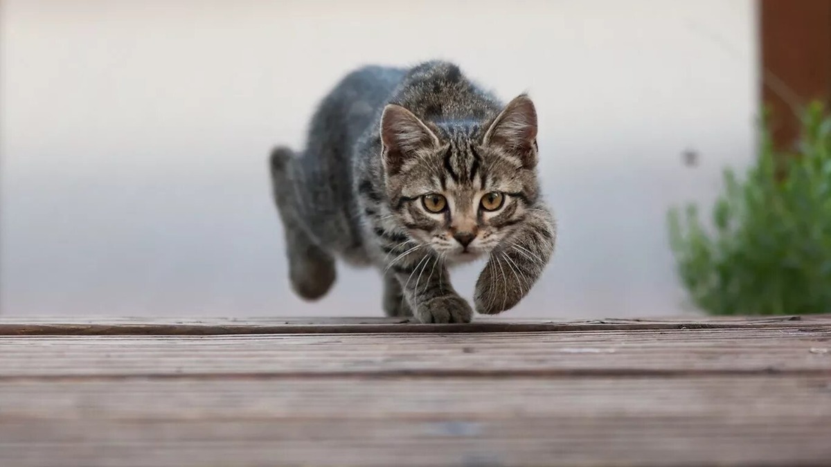 источник Яндекс-картинки