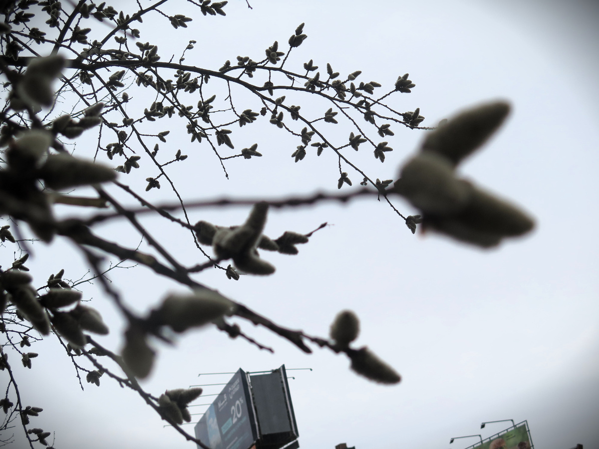 15.3.25. Москва.