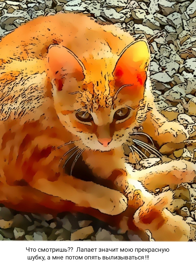 Эх, не ценим мы котиков, работы только им придаём. 