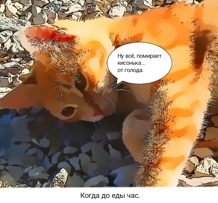 Кисонька хочет кушать, и точка! Никаких отговорок, что до еды остался час. 