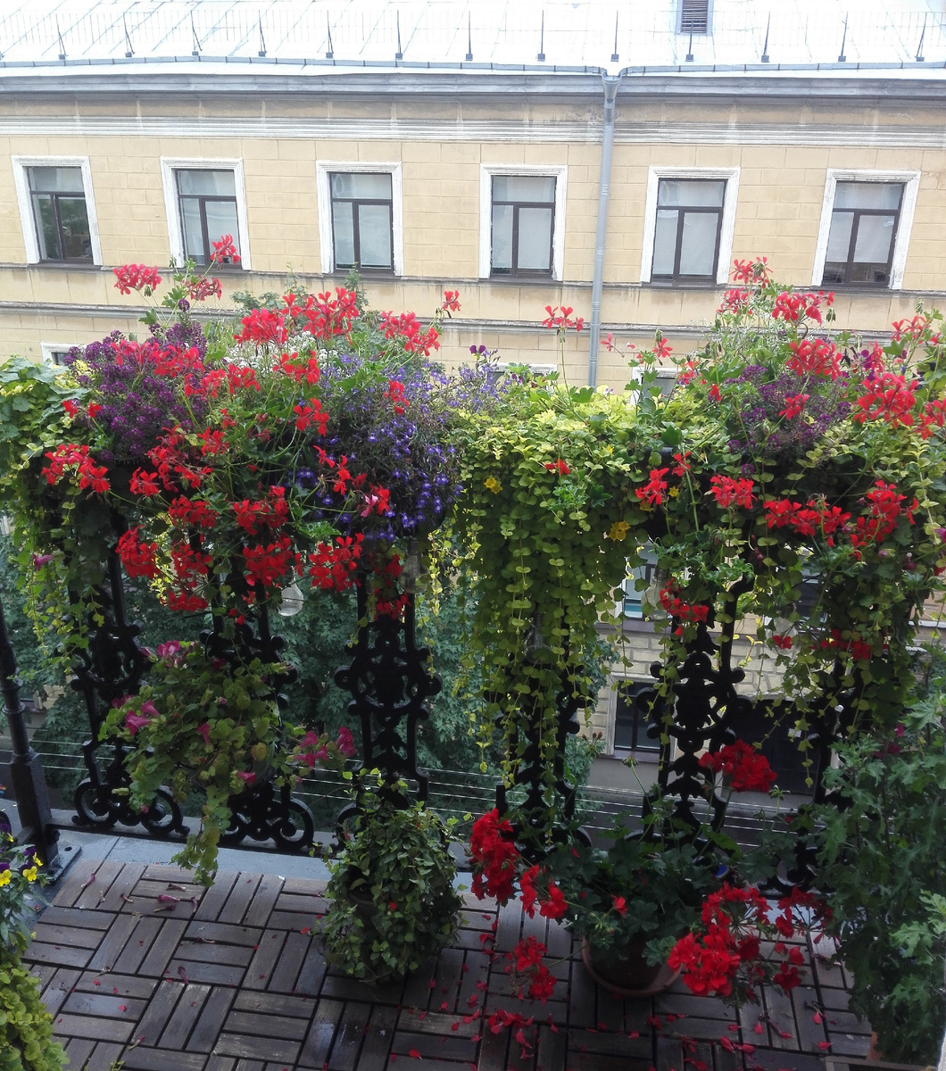 Август 2020 г.