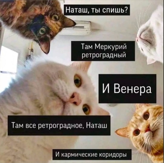 Весенний Коридор затмений 2025