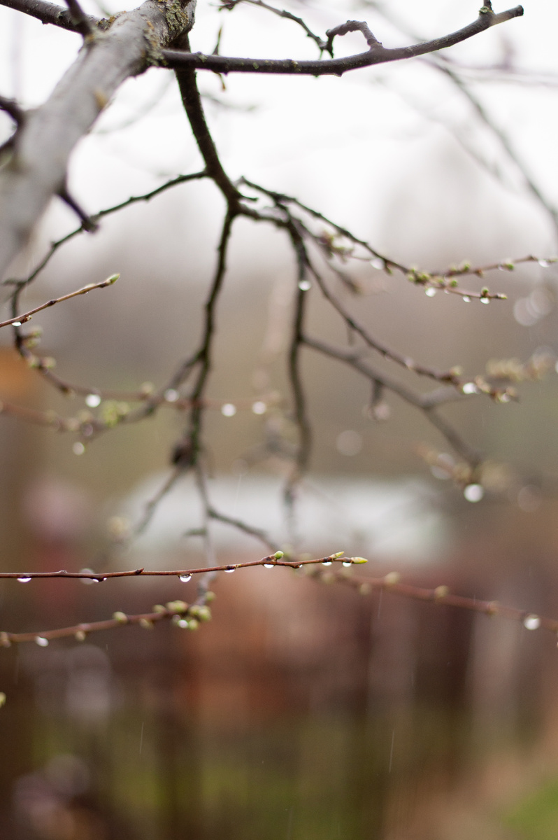 личное фото