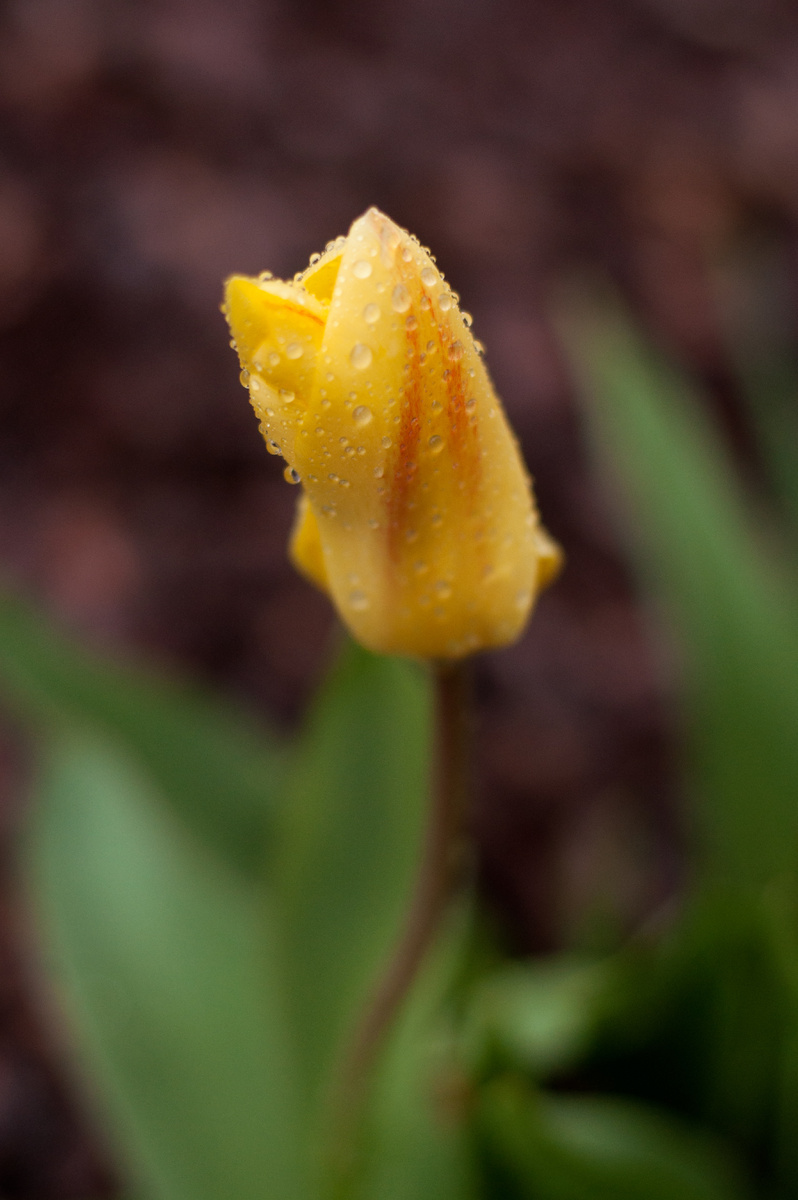 личное фото