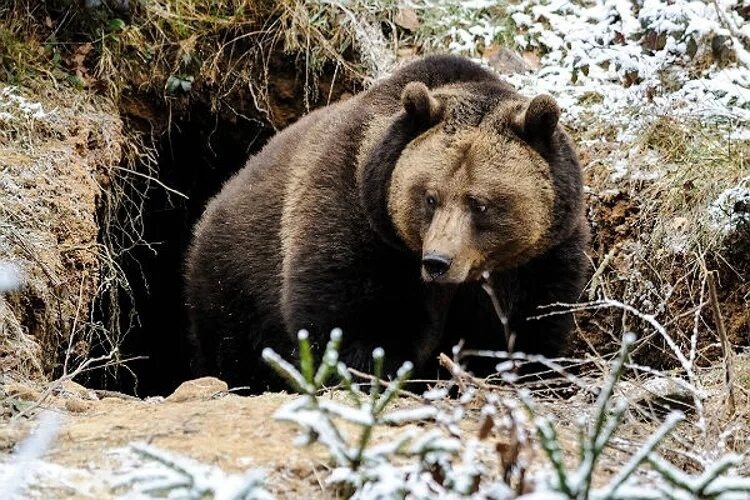 Фото: ВКОНТАКТЕ.