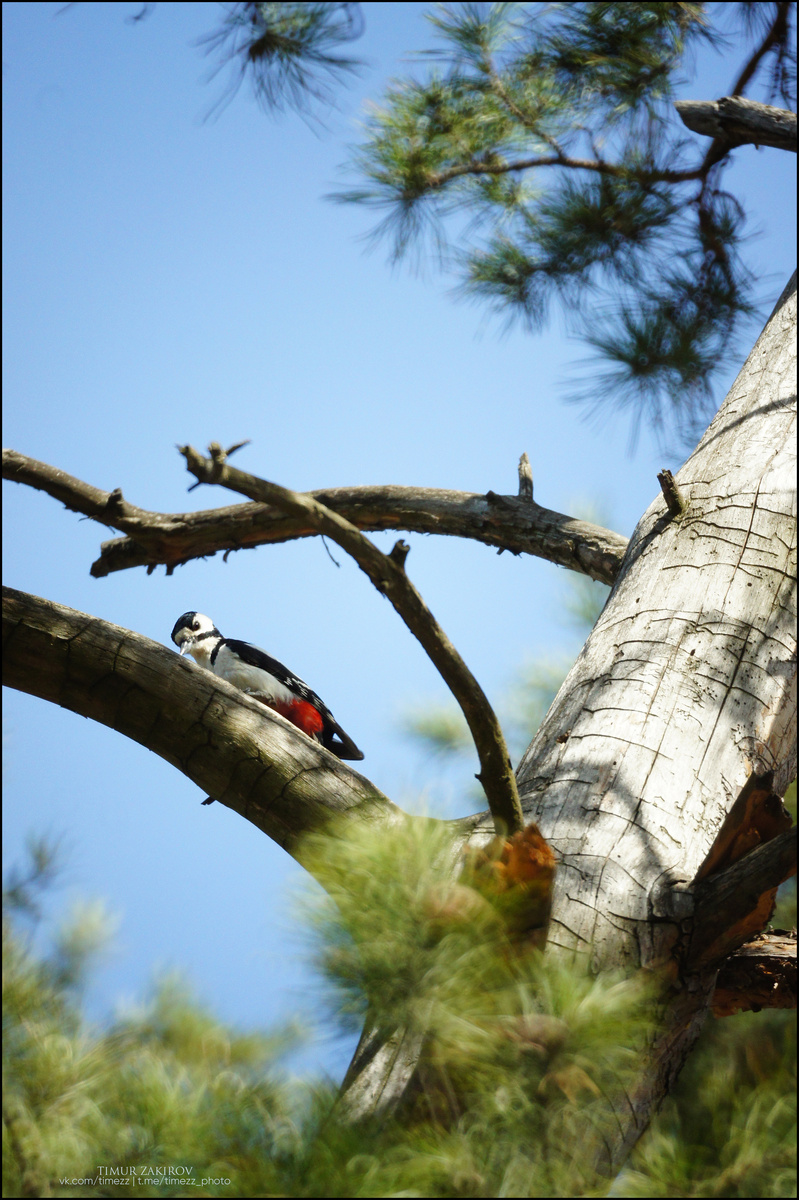 Здесь 3 фотографии, листайте >>>