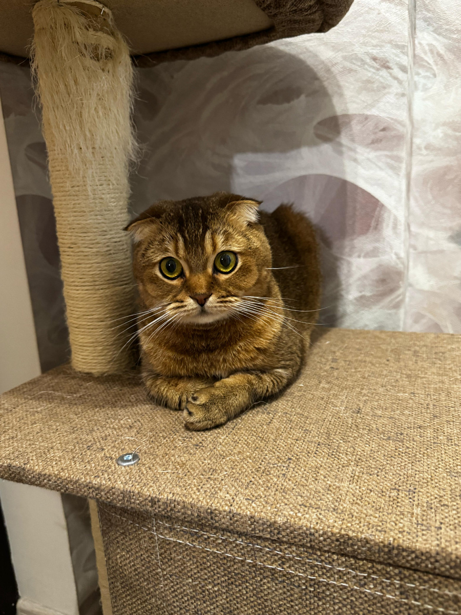 Мэй Ли (фото из личного архива)