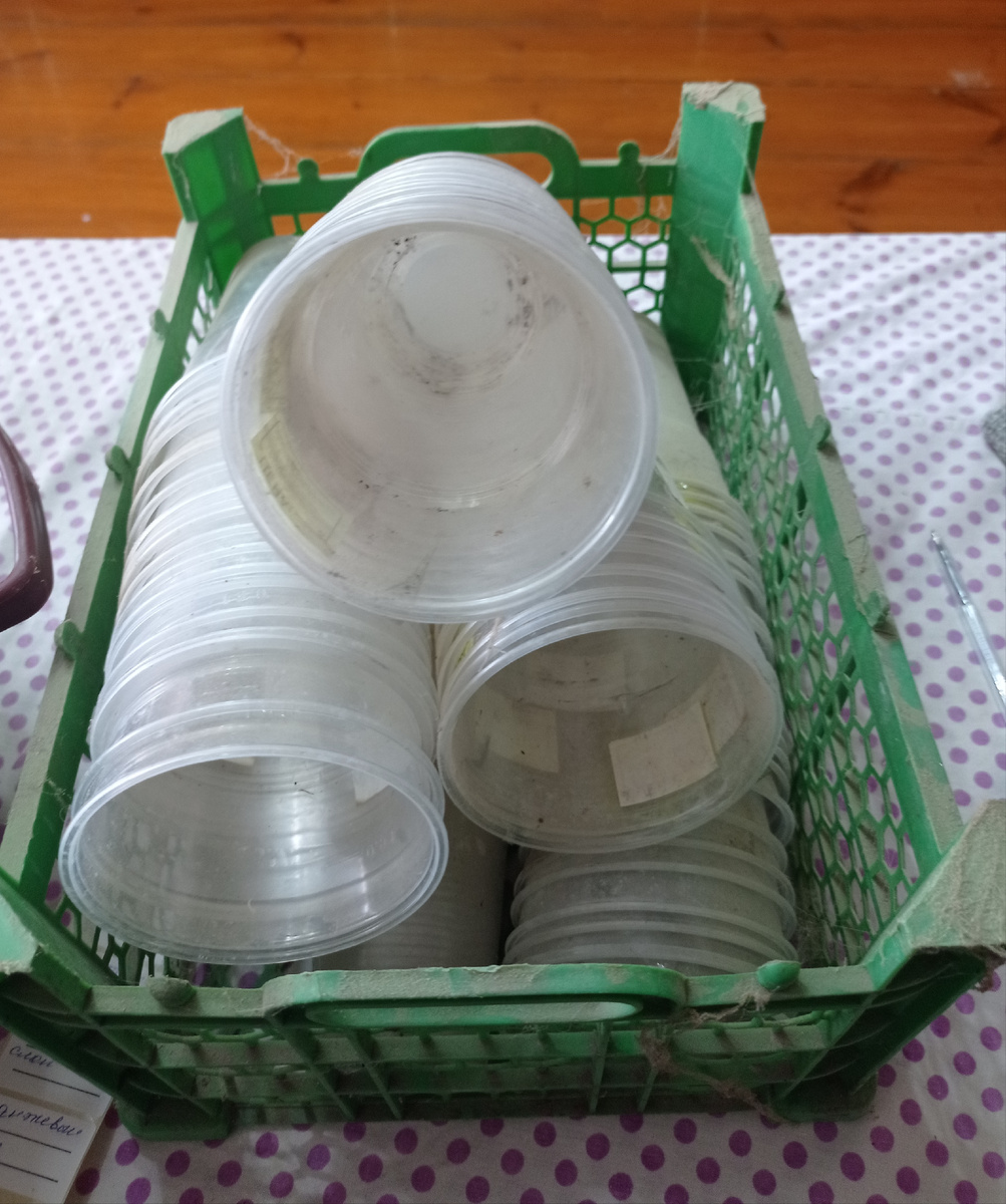 Пыльные, но пригодные к эксплуатации