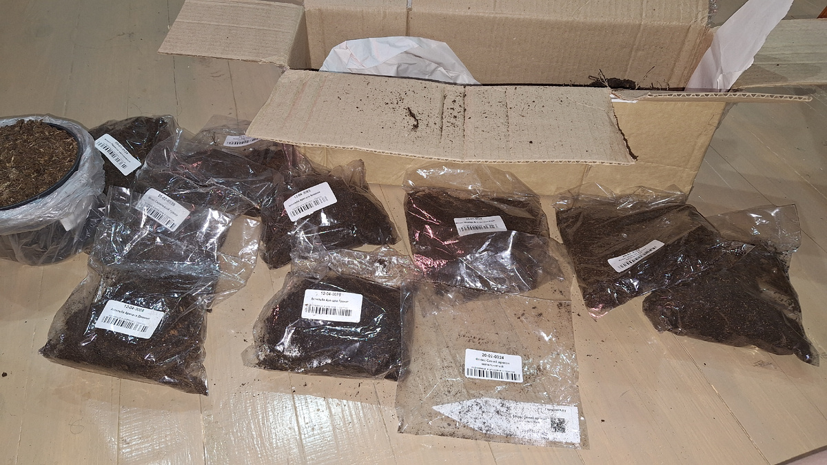 Фото автора. 