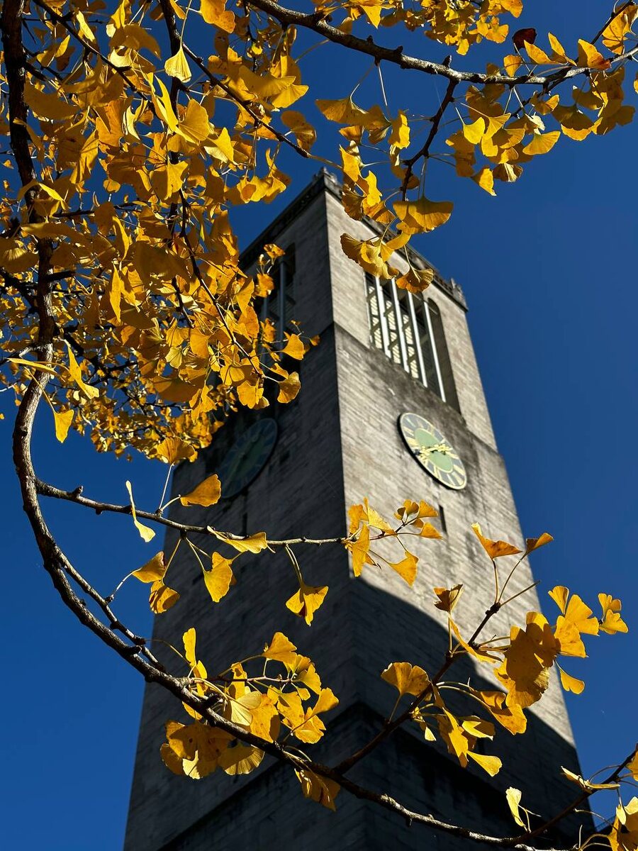 Но в действительности, как я уже говорила, все мы очень похожи.