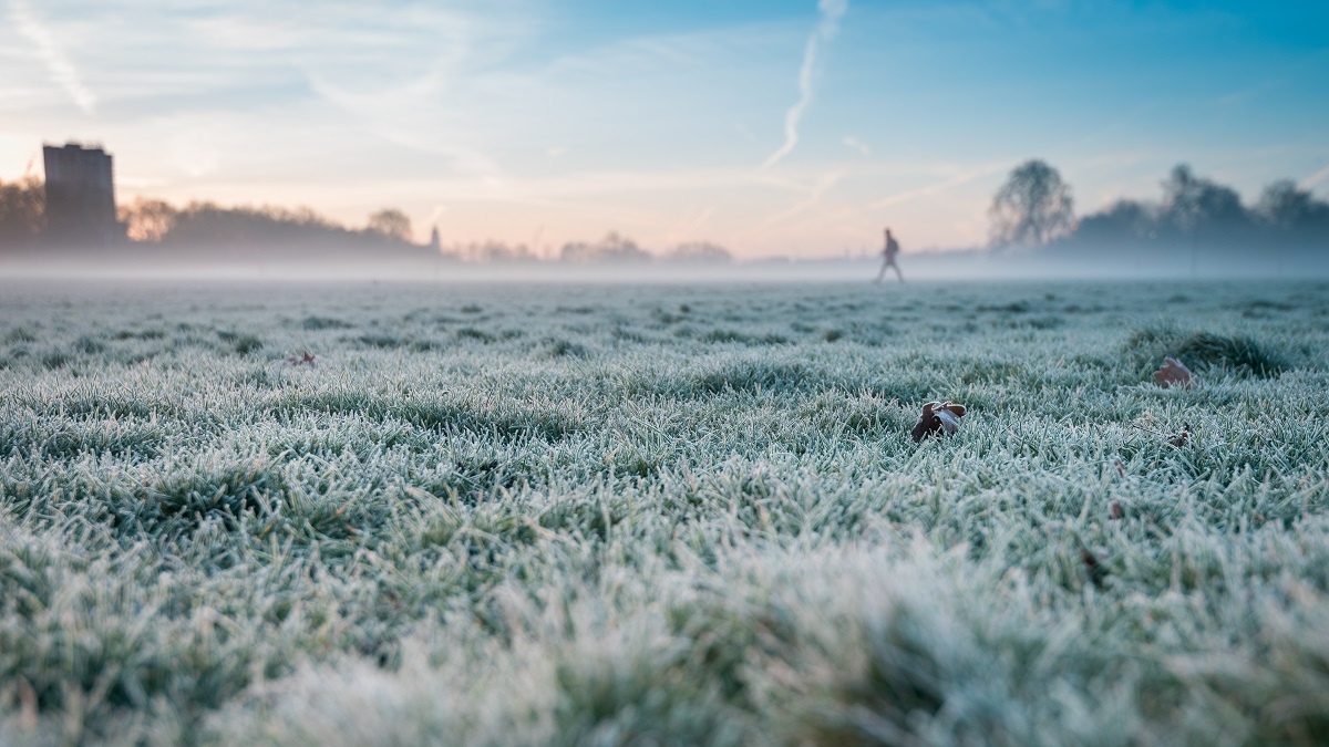    На Руси люди обходили поля для богатого урожая. Фото: Freepik