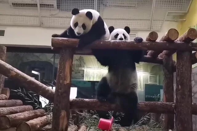    Какой праздник сегодня, 16 марта 2025 года, и что нельзя делать?