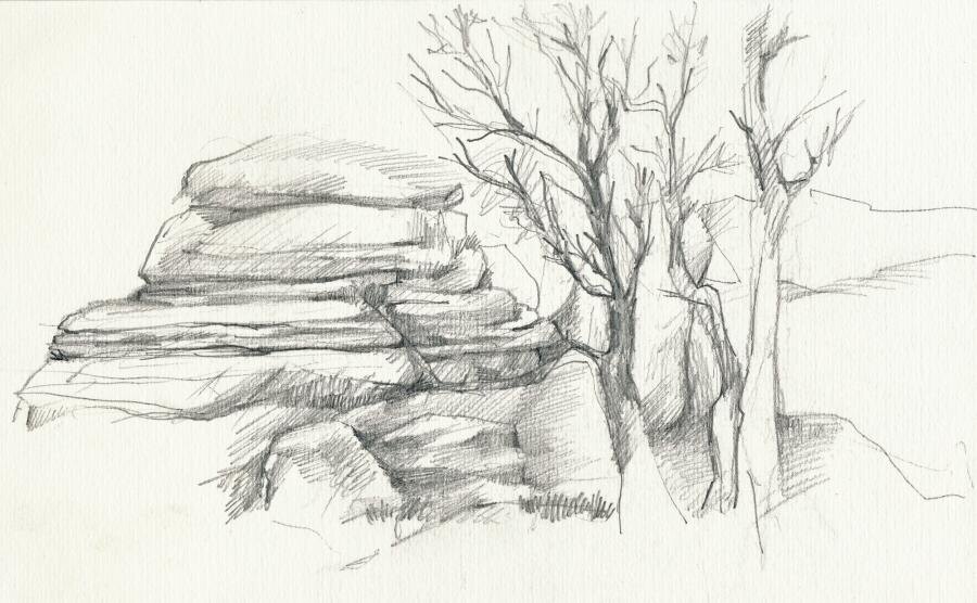    Как правильно рисовать дерево? Фото: Depositphotos