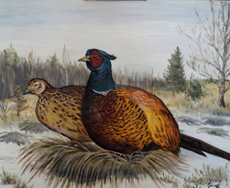 "Фазаны", Н. Швецова, масло/холст, 40*50см