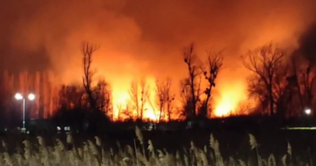 Фото: Утренний Юг