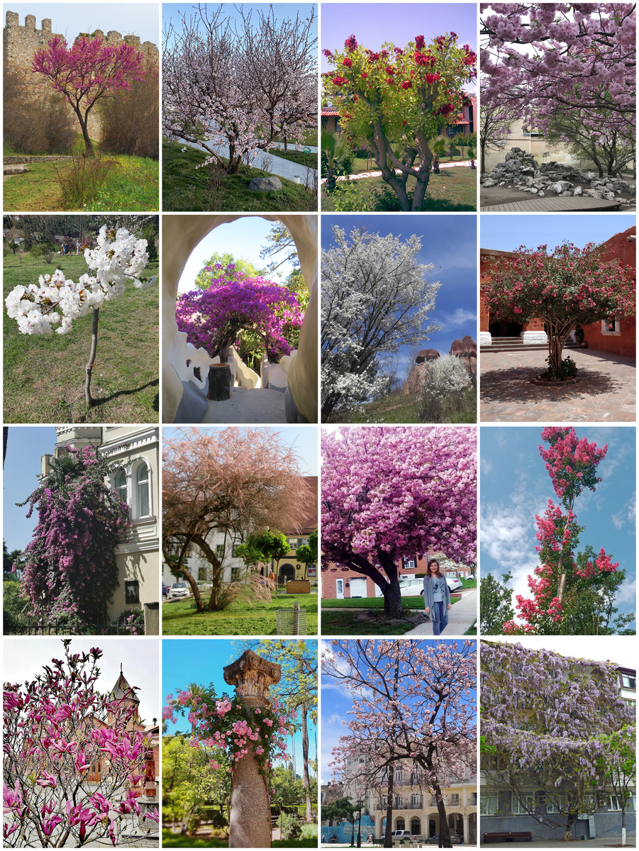 Авторы этих фотографий: 1 - Weber, 2 - Ха-лучи!, 3 - Никита Шемелев, 4 - Экскурсии без экскурсоводов, 5 - Путешествия оптимистки, 6 - Марина Молодяну, 7 - Svetlana, 8 - С русского на испанский, 9 - Людмила Г., 10 - Почитаем, посмотрим, поохаем, 11 - Живу в мире, 12 - Екатерина, 13 - Марьяна, 14 - Ирина Лукина, 15 - Мария Курчавая, 16 - Прогулки с фотоаппаратом.