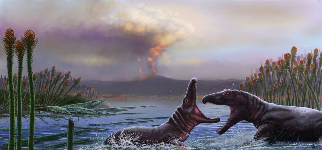 Протерозухиды-хазматозухи вступили в схватку за территорию, пока на заднем плане отдыхают амфибии бентозухи.