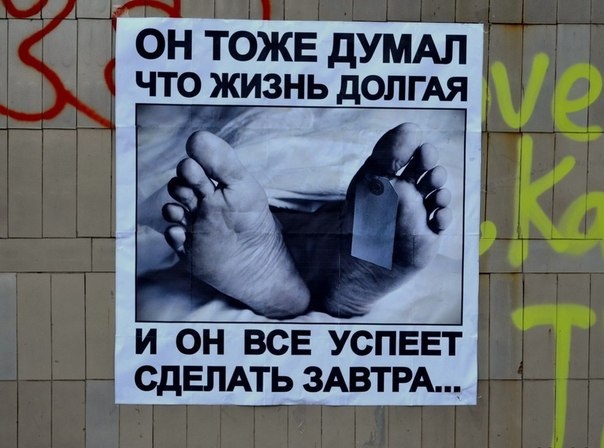 фото взято из открытых источников сети Интернет.