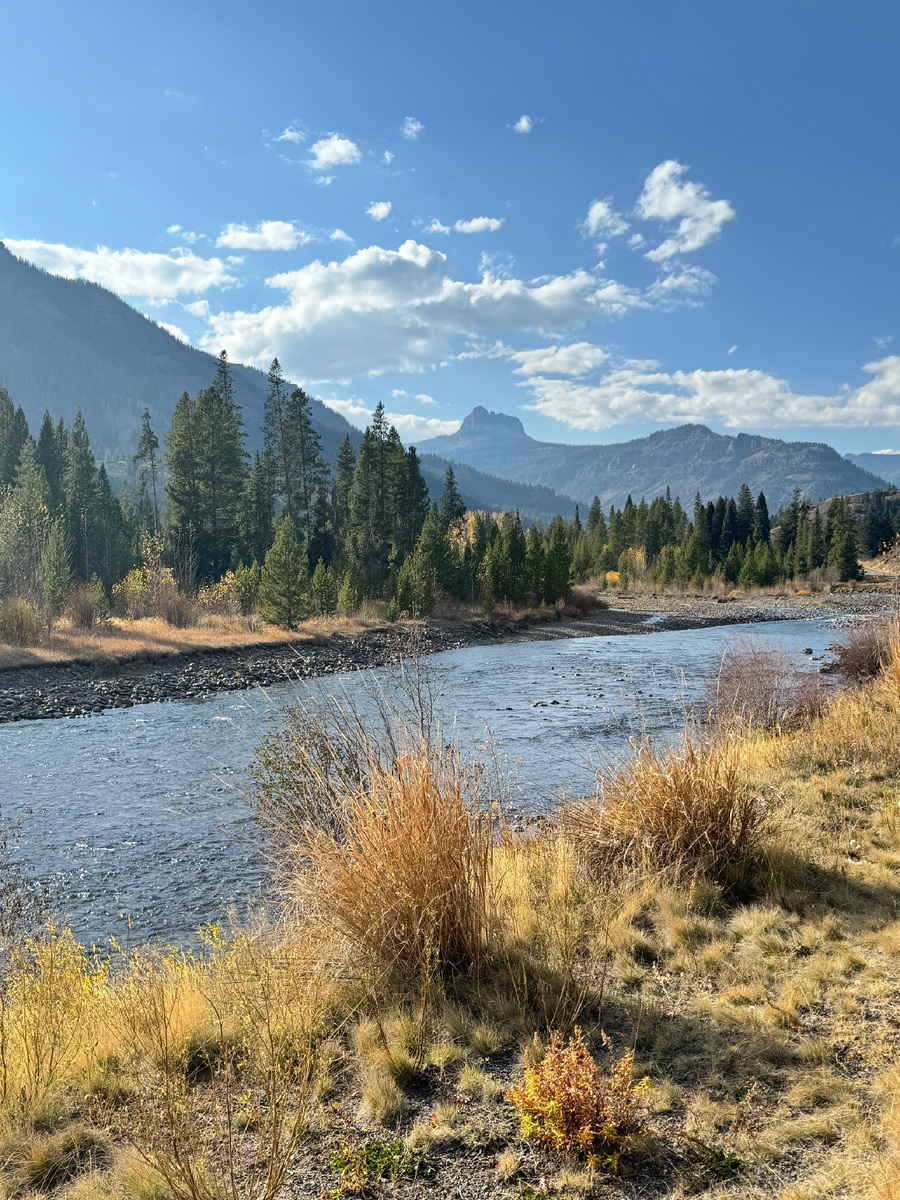 The Shoshone National Forest. По дороге в Йеллоустон.