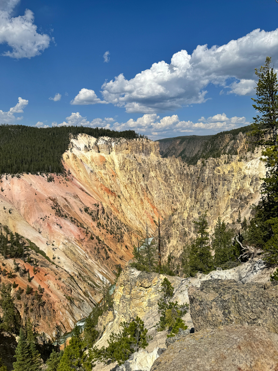 Grand Canyon of Yellowstone