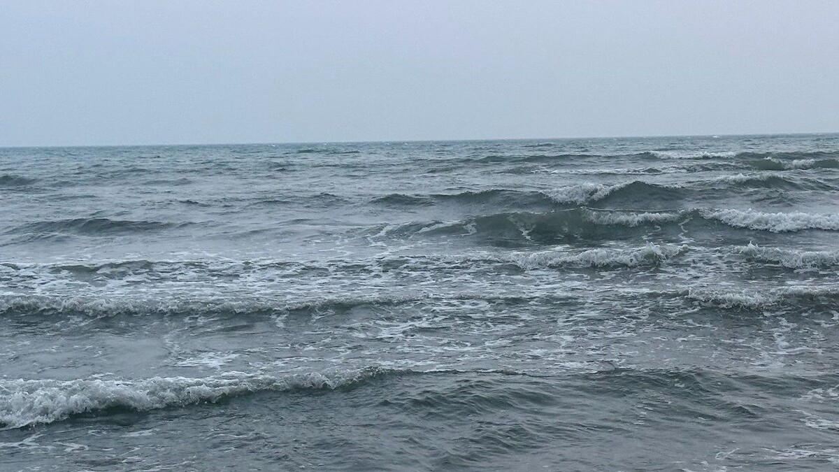     Источник: vostokmedia.com