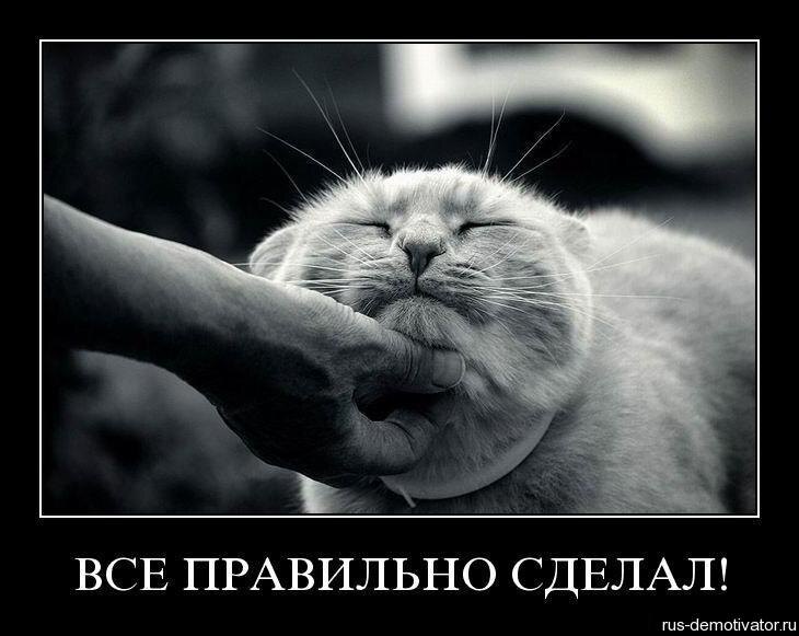 Яндекс Открытый источник 