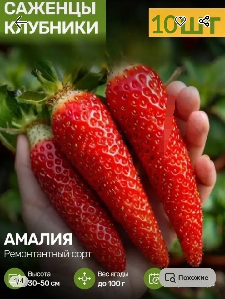 Скрин с Вайлдберриз.