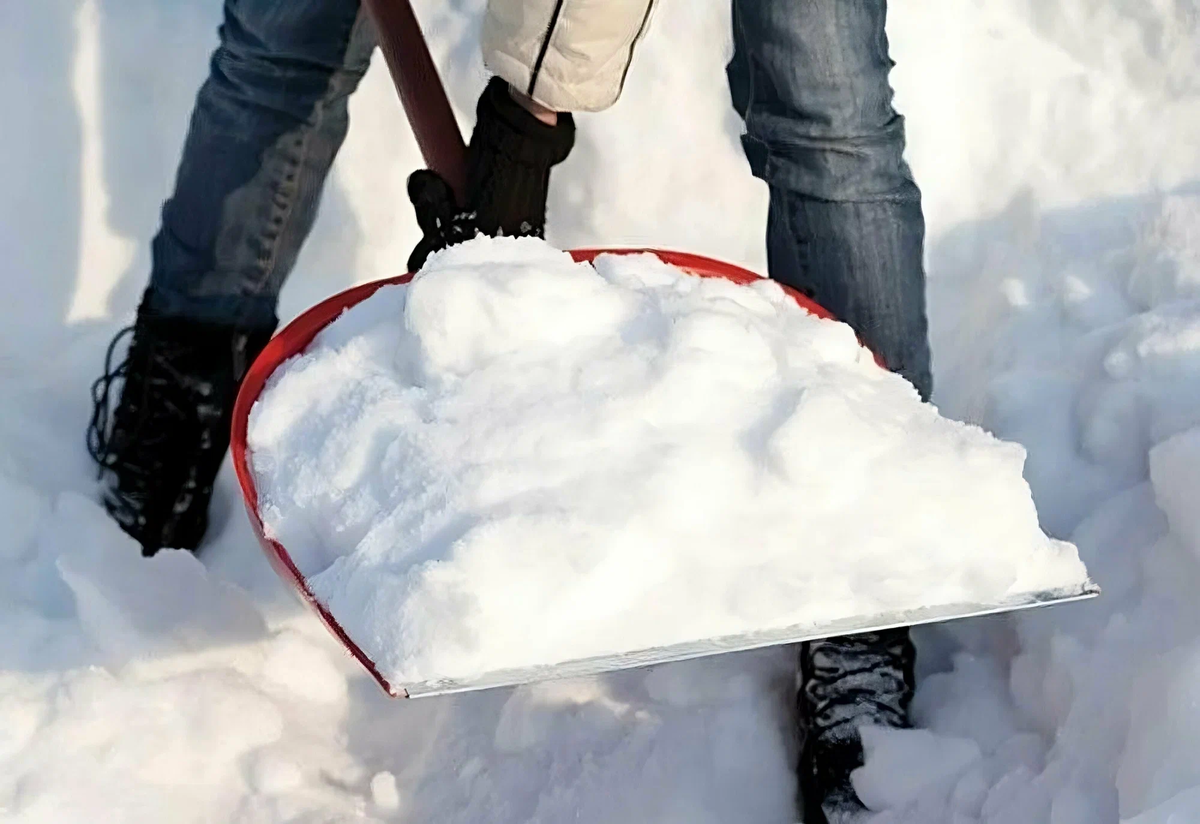 снег в лопате